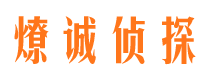 固安情人调查